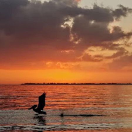 Vista Del Mar At Cape Harbour Marina, 10Th Floor Luxury Condo, King Bed, Views! Cape Coral Extérieur photo
