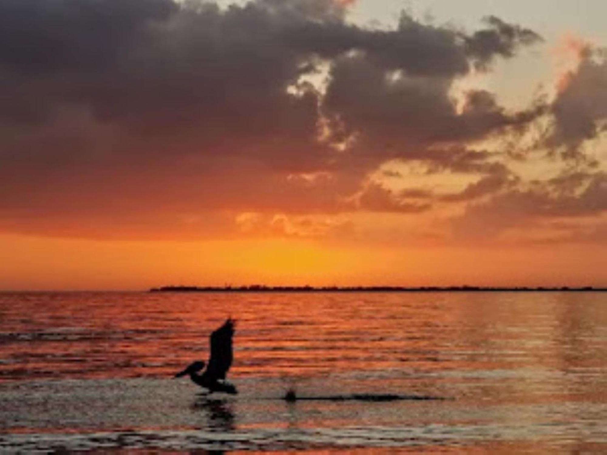 Vista Del Mar At Cape Harbour Marina, 10Th Floor Luxury Condo, King Bed, Views! Cape Coral Extérieur photo
